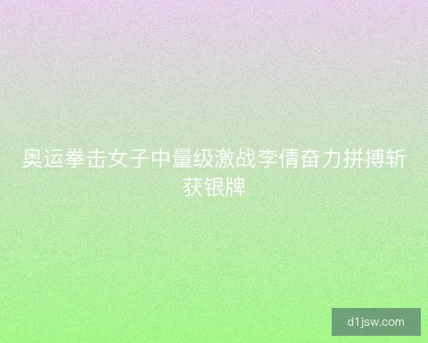 奥运拳击女子中量级激战李倩奋力拼搏斩获银牌