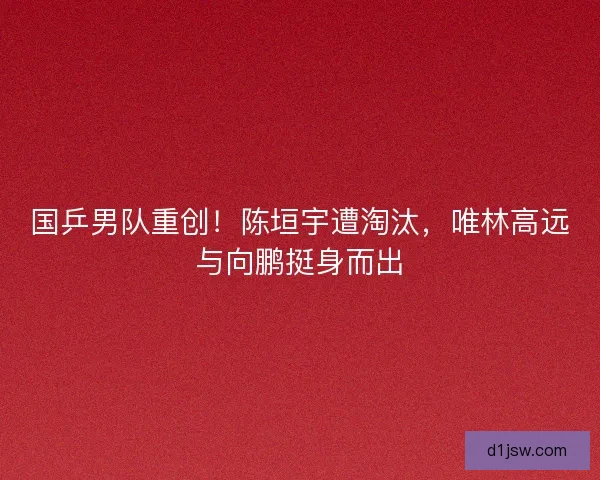 国乒男队重创！陈垣宇遭淘汰，唯林高远与向鹏挺身而出
